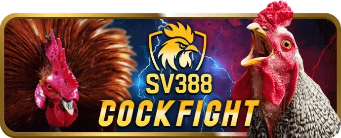 Đa dạng sản phẩm giải trí tại sinbet win